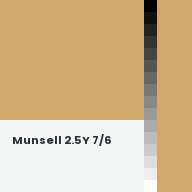 Color chip: Munsell 2.5Y 7/6