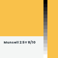 Color chip: Munsell 2.5Y 8/10