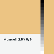 Color chip: Munsell 2.5Y 8/6