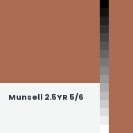 Color chip: Munsell 2.5YR 5/6