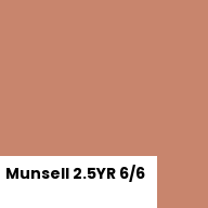 Color chip: Munsell 2.5YR 6/6
