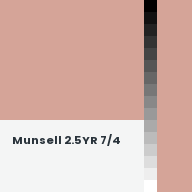 Color chip: Munsell 2.5YR 7/4