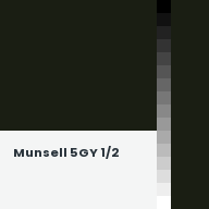 Color chip: Munsell 5GY 1/2