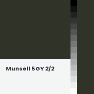 Color chip: Munsell 5GY 2/2