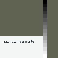 Color chip: Munsell 5GY 4/2