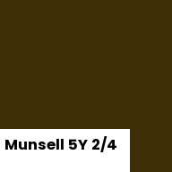Color chip: Munsell 5Y 2/4