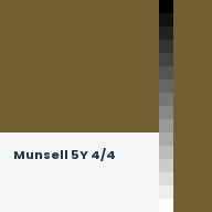 Color chip: Munsell 5Y 4/4
