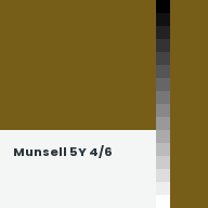 Color chip: Munsell 5Y 4/6