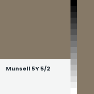 Color chip: Munsell 5Y 5/2
