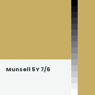 Color chip: Munsell 5Y 7/6