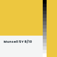Color chip: Munsell 5Y 8/10