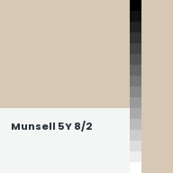 Color chip: Munsell 5Y 8/2