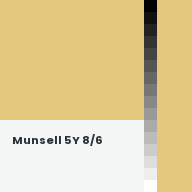Color chip: Munsell 5Y 8/6