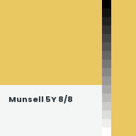 Color chip: Munsell 5Y 8/8