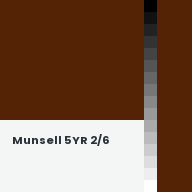 Color chip: Munsell 5YR 2/6