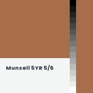 Color chip: Munsell 5YR 5/6