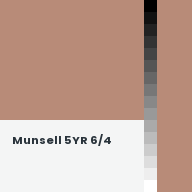 Color chip: Munsell 5YR 6/4