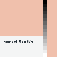 Color chip: Munsell 5YR 8/4