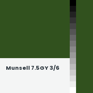 Color chip: Munsell 7.5GY 3/6