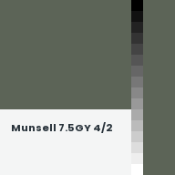 Color chip: Munsell 7.5GY 4/2