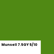 Color chip: Munsell 7.5GY 5/10