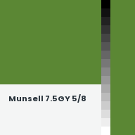 Color chip: Munsell 7.5GY 5/8