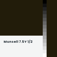 Color chip: Munsell 7.5Y 1/2
