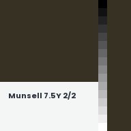 Color chip: Munsell 7.5Y 2/2