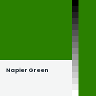 Color chip: Napier Green