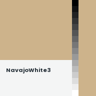 Color chip: NavajoWhite3