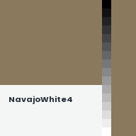 Color chip: NavajoWhite4