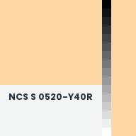 Color chip: NCS S 0520-Y40R
