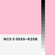Color chip: NCS S 0530-R20B