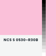 Color chip: NCS S 0530-R30B