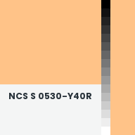Color chip: NCS S 0530-Y40R