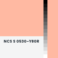 Color chip: NCS S 0530-Y80R