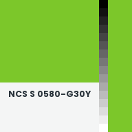 Color chip: NCS S 0580-G30Y
