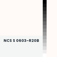 Color chip: NCS S 0603-R20B