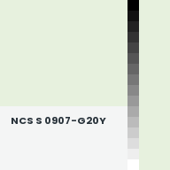 Color chip: NCS S 0907-G20Y
