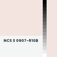 Color chip: NCS S 0907-R10B