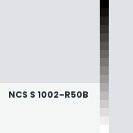 Color chip: NCS S 1002-R50B