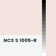 Color chip: NCS S 1005-R