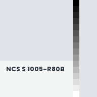 Color chip: NCS S 1005-R80B