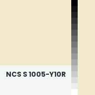Color chip: NCS S 1005-Y10R