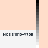 Color chip: NCS S 1010-Y70R