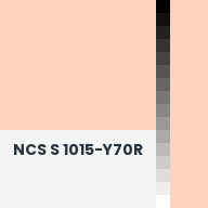 Color chip: NCS S 1015-Y70R