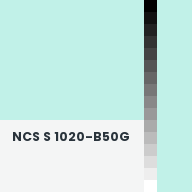 Color chip: NCS S 1020-B50G