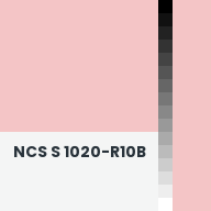 Color chip: NCS S 1020-R10B