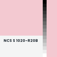 Color chip: NCS S 1020-R20B