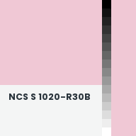 Color chip: NCS S 1020-R30B